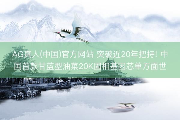 AG真人(中国)官方网站 突破近20年把持! 中国首款甘蓝型油菜20K固相基因芯单方面世