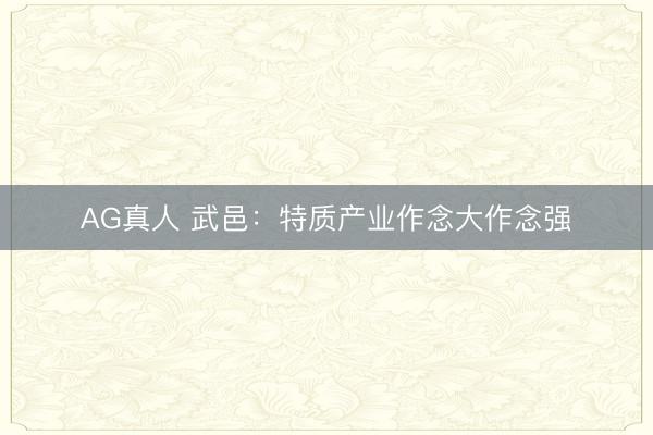 AG真人 武邑：特质产业作念大作念强