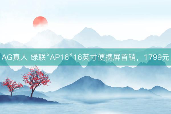 AG真人 绿联“AP16”16英寸便携屏首销，1799元