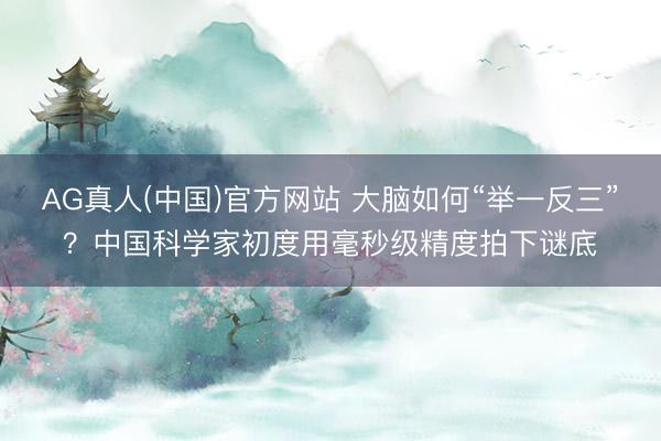 AG真人(中国)官方网站 大脑如何“举一反三”？中国科学家初度用毫秒级精度拍下谜底