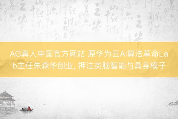 AG真人中国官方网站 原华为云AI算法革命Lab主任朱森华创业， 押注类脑智能与具身模子