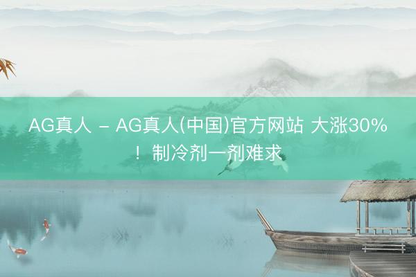 AG真人 - AG真人(中国)官方网站 大涨30%！制冷剂一剂难求