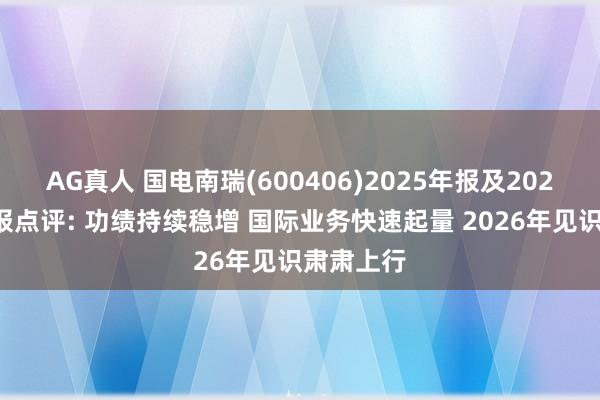 AG真人 国电南瑞(600406)2025年报及2026年一季报点评: 功绩持续稳增 国际业务快速起量 2026年见识肃肃上行